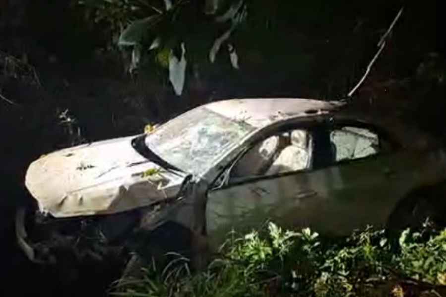 canal automovil Gomez Farias