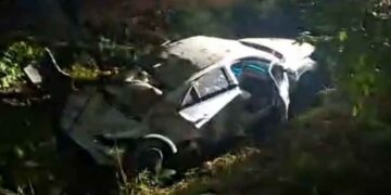 canal automovil Gomez Farias
