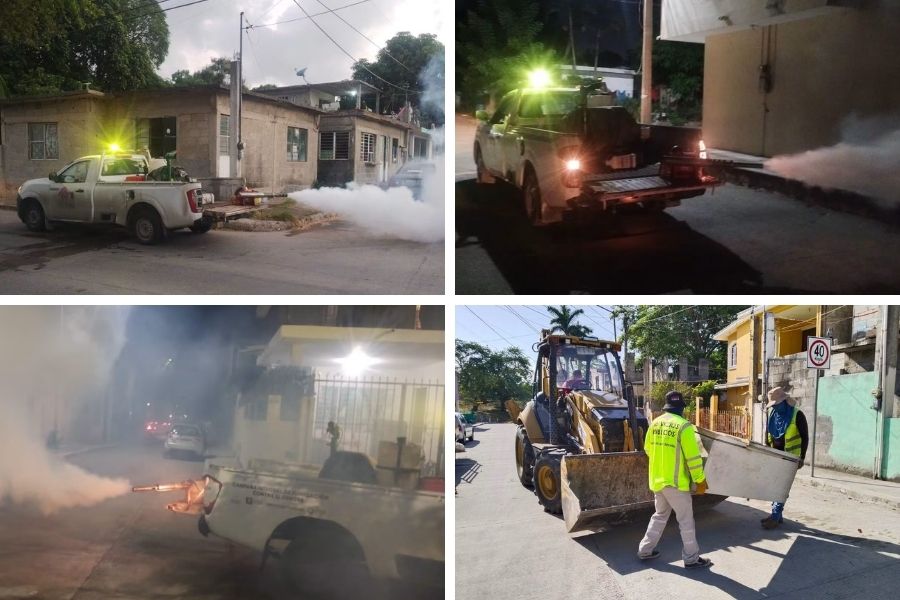 combate al dengue en Tampico