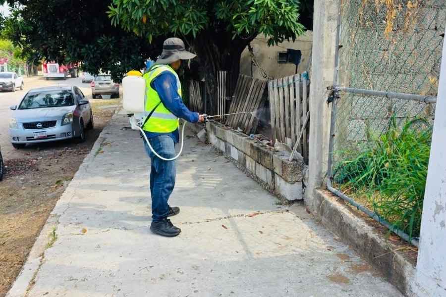dengue aguas Tampico acciones