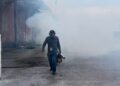 dengue en Tampico y Ciudad Madero