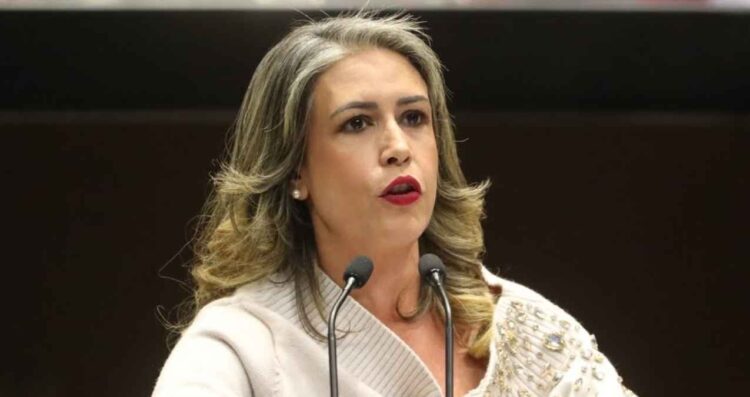 diputada PAN Andy red