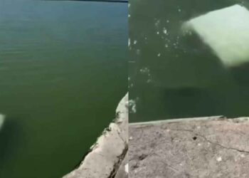 elementos de la Marina en La Pesca