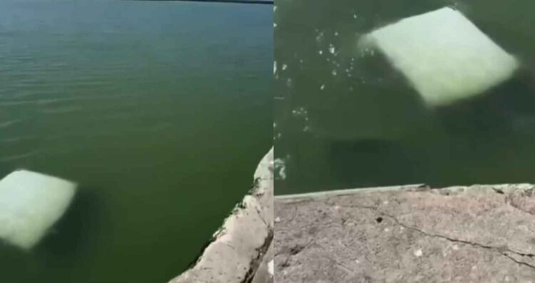 elementos de la Marina en La Pesca