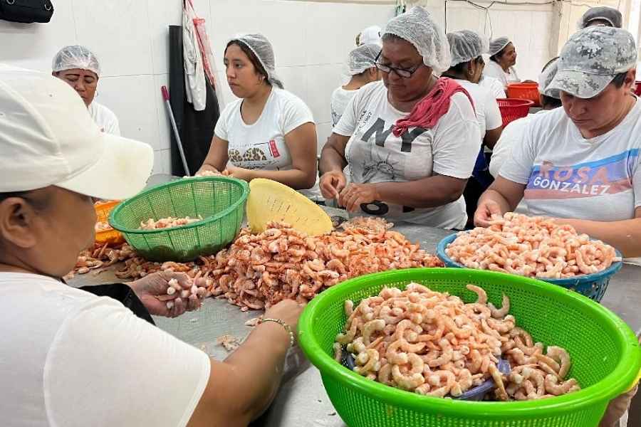hombres despique camarón Tamaulipas