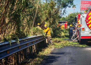 _incendio en el río Santa Catarina