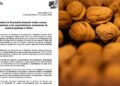 nueces pecanas México China