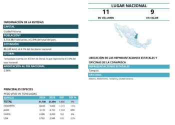 producción de camarón en Tamaulipas