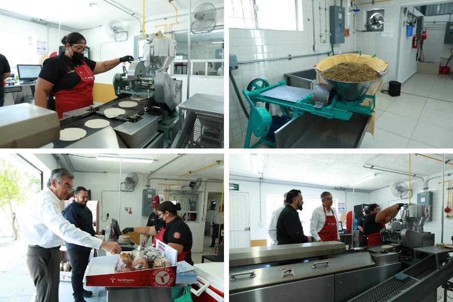 producción de sorgo Tamaulipas