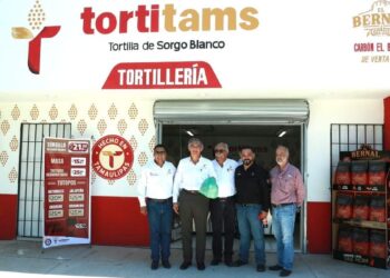 producción de sorgo Tamaulipas