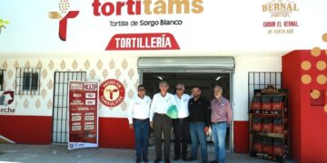 producción de sorgo Tamaulipas