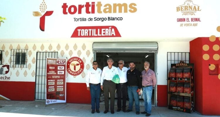 producción de sorgo Tamaulipas