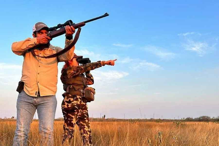 regular  caza especies  Tamaulipas