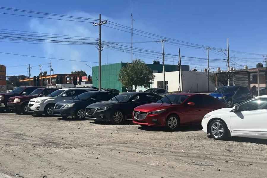 regularizar Tamaulipas onapafa