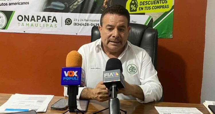 regularizar Tamaulipas onapafa