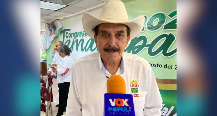 regularizar autos extranjeros en Tamaulipas