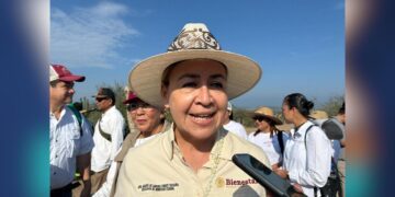 tarjetas del Bienestar en Tamaulipas