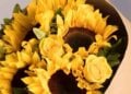 21 septiembre flores amarillas