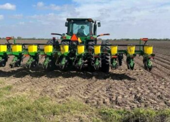 Agricultores Tamaulipas lluvias sequía