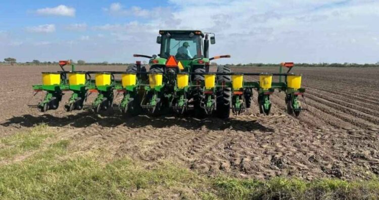 Agricultores Tamaulipas lluvias sequía