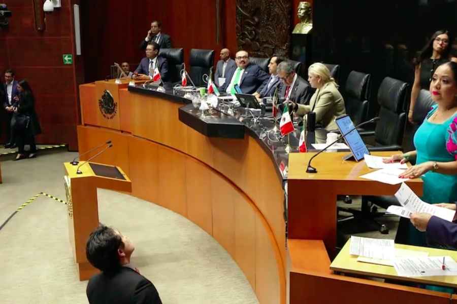 AmSoc reforma doble nacionalidad