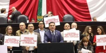 AmSoc reforma doble nacionalidad