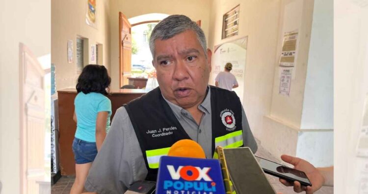 Bomberos Victoria gusano barrenador
