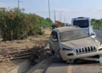 Conductor árbol en Nuevo Laredo