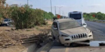 Conductor árbol en Nuevo Laredo