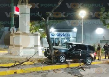 Conductora choca con árbol en Altamira