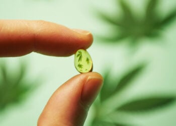 CBD en cápsulas blandas vs. aceite de CBD: cómo encontrar la opción adecuada para tus hábitos diarios