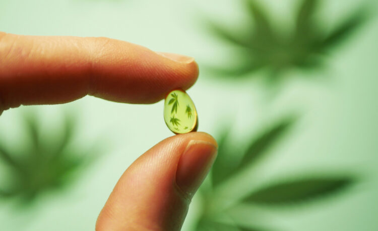 CBD en cápsulas blandas vs. aceite de CBD: cómo encontrar la opción adecuada para tus hábitos diarios
