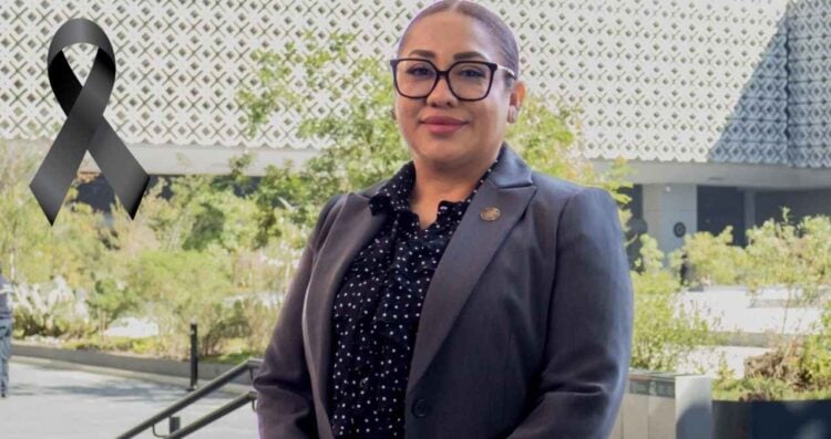 Diputada Anay Beltrán Reyes