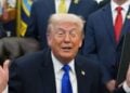 Donald Trump cárteles NYT