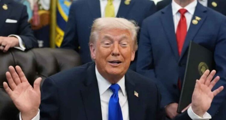 Donald Trump cárteles NYT