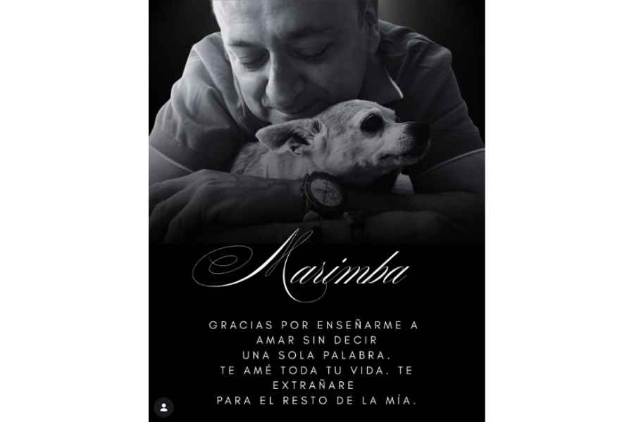 Eduardo España perrita Marimba