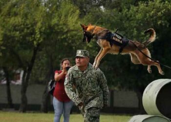 Ejército familiar en Nuevo Laredo