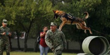 Ejército familiar en Nuevo Laredo
