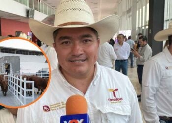 Feria Tamaulipas dará sementales