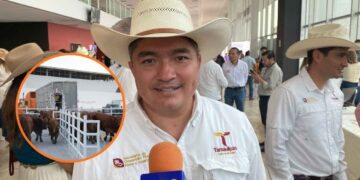 Feria Tamaulipas dará sementales