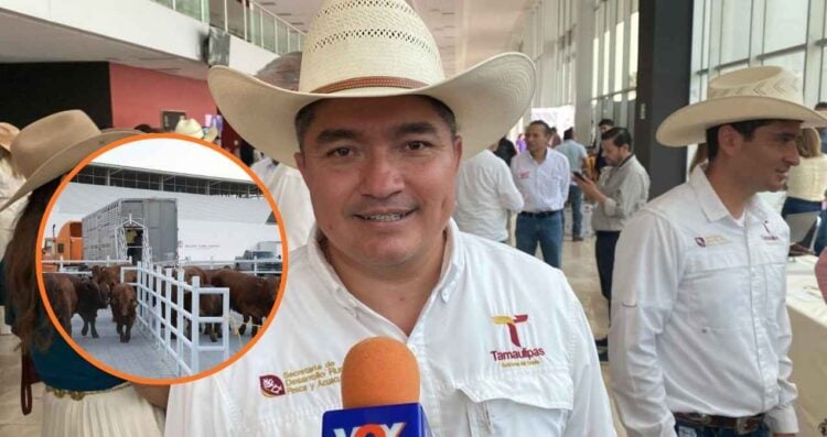 Feria Tamaulipas dará sementales