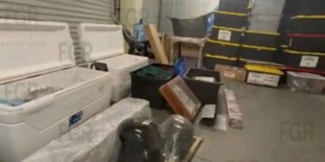 Fgr documentos armas bodega