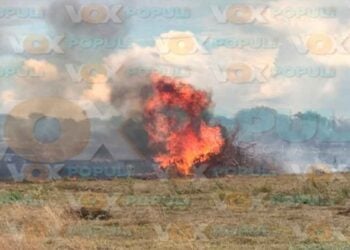 Fuego caja Victoria Matamoro