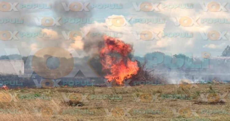 Fuego caja Victoria Matamoro