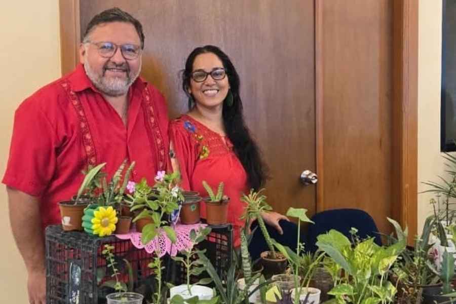 Fundación Raíz Mx plantas Matamoros