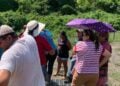 Hipódromo agua estancada en Madero