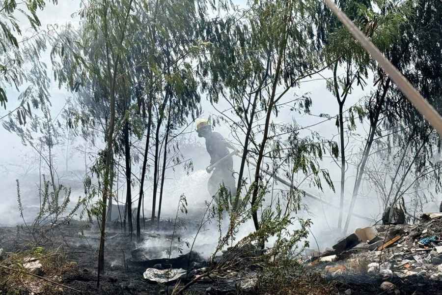Incendio baldío Matamoros (1)