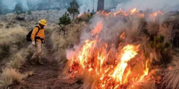 Incendios en Tamaulipas dañan 2 mil