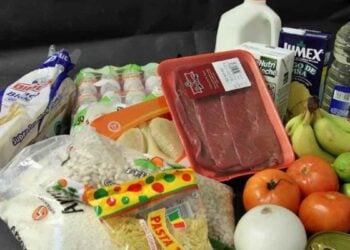 Inegi falta de alimentos