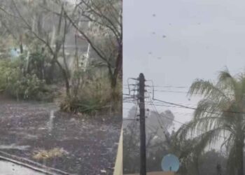 Lluvias vientos afectaciones en Montemorelos